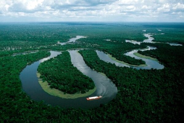 Descubrieron una red de ciudades, rutas y granjas de hace 2500 años en el Amazonas. Descubrieron una red de ciudades, rutas y granjas de hace 2500 años en el Amazonas.