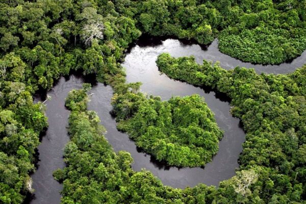 Las maravillas de la selva de Costa Rica. Las maravillas de la selva de Costa Rica.