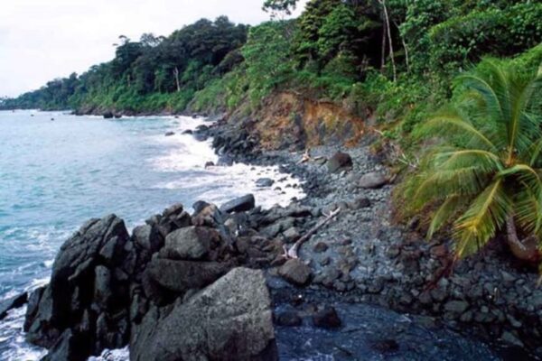 Colombia, otro país latinoamericano que apuesta al Ecoturismo. Colombia, otro país latinoamericano que apuesta al Ecoturismo.