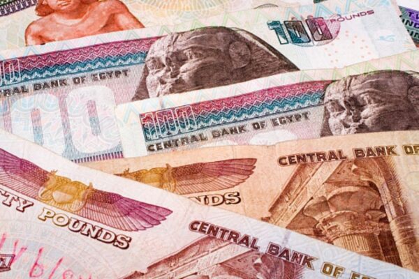 El ministro de Finanzas de Egipto dio a conocer nuevas medidas de protección social. El ministro de Finanzas de Egipto dio a conocer nuevas medidas de protección social.