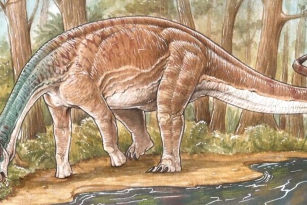 Científicos del CONICET descubrieron una nueva especie de dinosaurio que habitó Argentina. Científicos del CONICET descubrieron una nueva especie de dinosaurio que habitó Argentina.