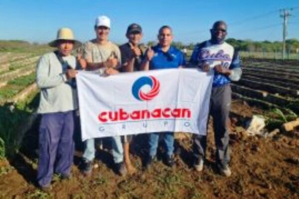 Sector turístico de Cuba es destacado por su labor social. Sector turístico de Cuba es destacado por su labor social.