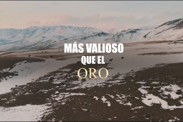 Más Valioso que el Oro – Documental de TVBRICS. Más Valioso que el Oro – Documental de TVBRICS.