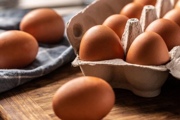 Irán exporta por primera vez un lote de huevos a Rusia Irán exporta por primera vez un lote de huevos a Rusia