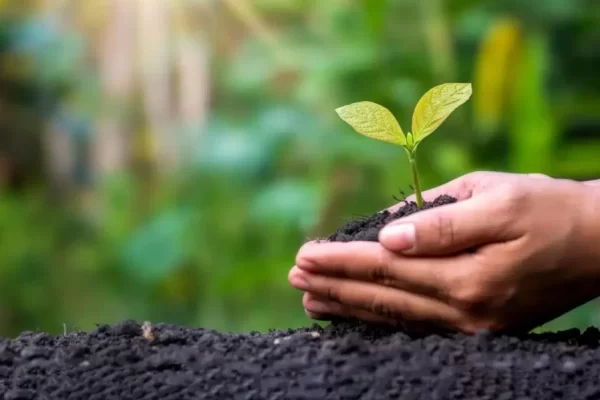 Los países BRICS planean crear un registro de las mejores tecnologías ambientales Los países BRICS planean crear un registro de las mejores tecnologías ambientales