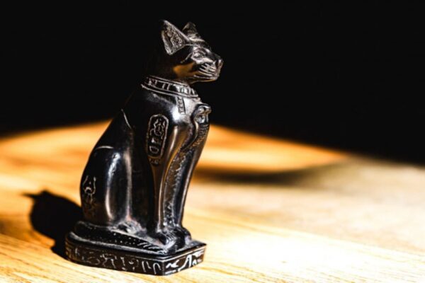 Se permite llevar gatos a una exposición de antigüedades egipcias en China Se permite llevar gatos a una exposición de antigüedades egipcias en China