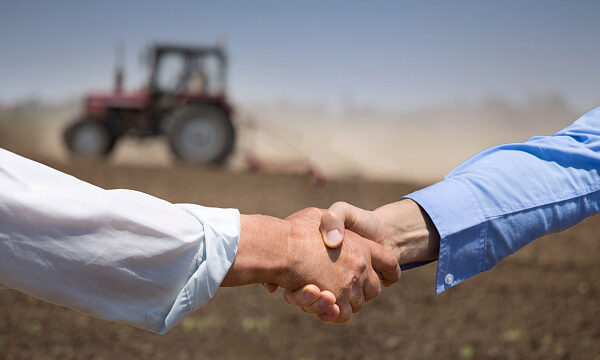 Ministro de Agricultura de Egipto discutió temas clave de agricultura con embajador de la India Ministro de Agricultura de Egipto discutió temas clave de agricultura con embajador de la India