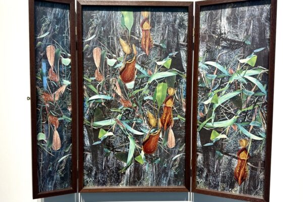Argentina | Impresiones sobre los ciclos de la vida y la muerte | Collages de Rosana Schoijett en Malba Puertos Argentina | Impresiones sobre los ciclos de la vida y la muerte | Collages de Rosana Schoijett en Malba Puertos